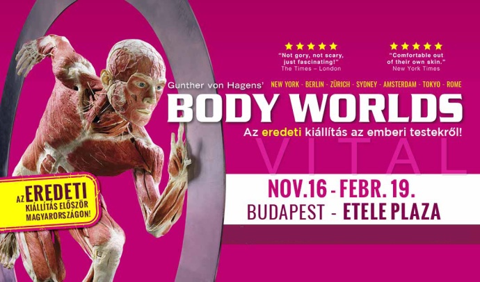 BODY WORLDS kiállítás az Etele Pálázában! Jegyek itt!